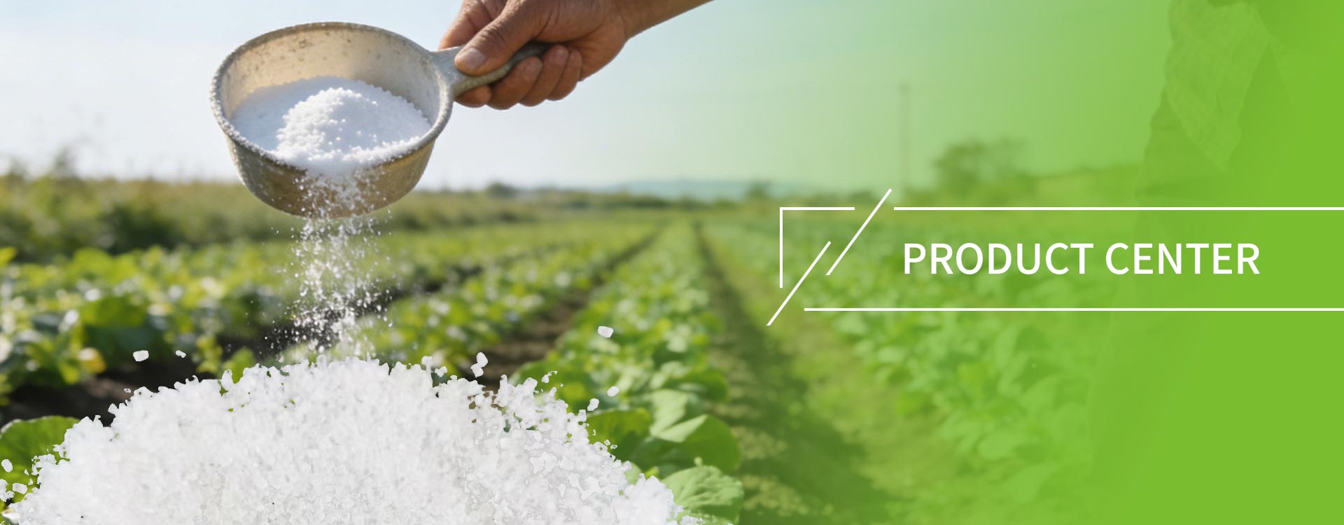 उत्पादों